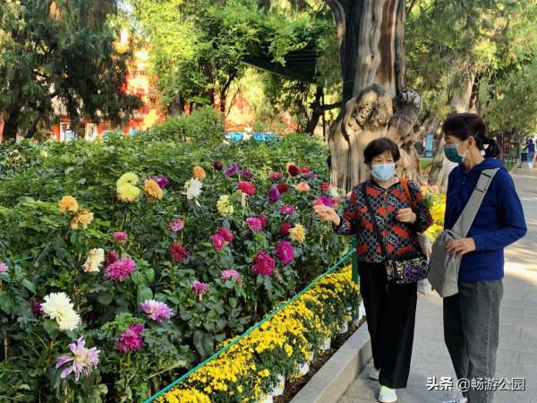 近30萬遊客國慶節當天暢遊市屬公園共賀祖國華誕 近30萬遊客國慶節當天暢遊市屬公園共賀祖國華誕