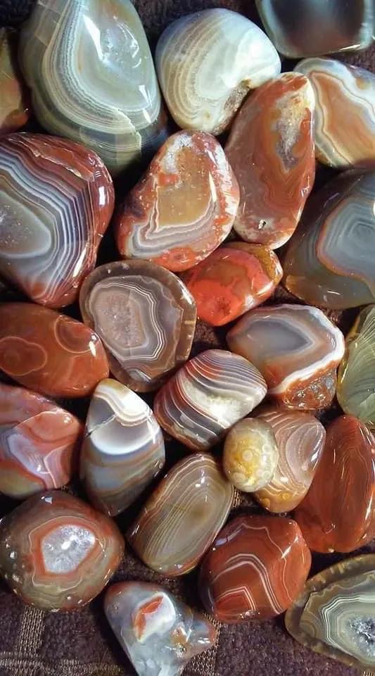 石頭記——帶你領略多姿多彩的石頭 石頭記——帶你領略多姿多彩的石頭