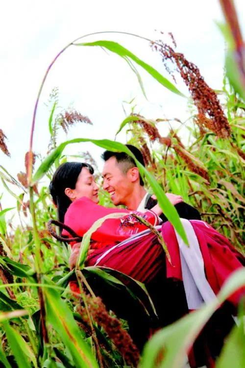 那一片片的高粱地裡,有著農村人的很多秘密,你想知道嗎 那一片片的高粱地裡,有著農村人的很多秘密,你想知道嗎