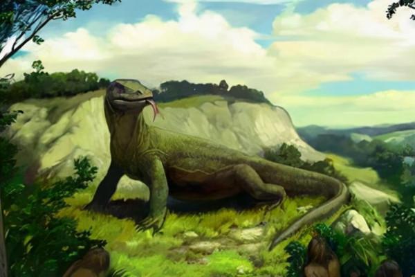 令人吃驚的海洋巨蜥 令人吃驚的海洋巨蜥