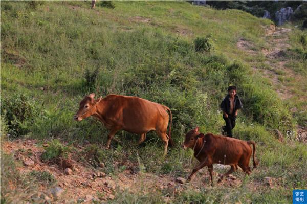 貴州西部藏了個“中國涼都”，夏季只有19℃，沿途都是少數民族村