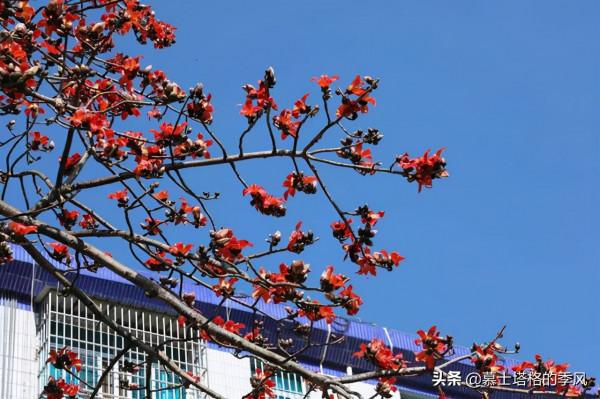 冬天不用去海南了，這5座小城都是老年人過冬避寒的好地方