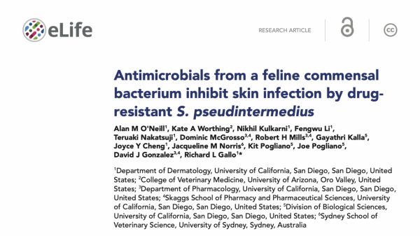 打敗超級細菌的“新武器”，居然來自喵星人？｜醫學前瞻