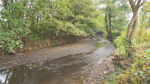 蘭溪社峰的古石橋（2）