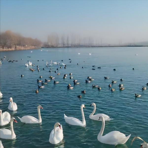 新年最浪漫旅遊地出爐！西北最美的5個湖泊，看到就想出發