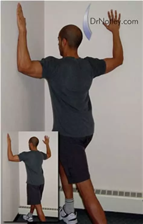 今天講一講肩胛提肌