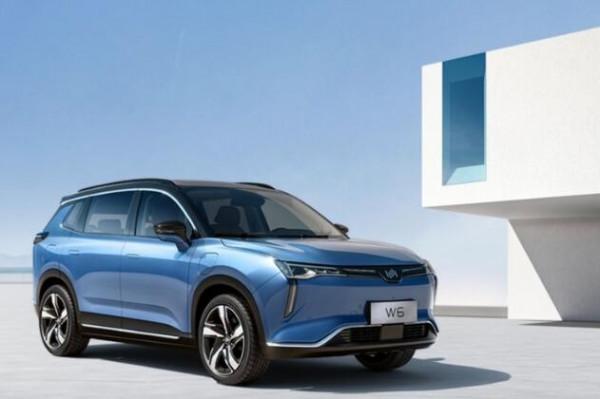 特斯拉 比亞迪成最大贏家 2021年主流新能源車企銷量點評