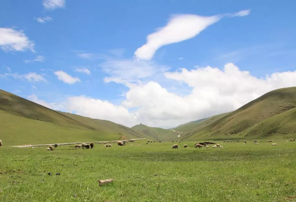 這些小眾旅行地，我每個都想去。你呢？