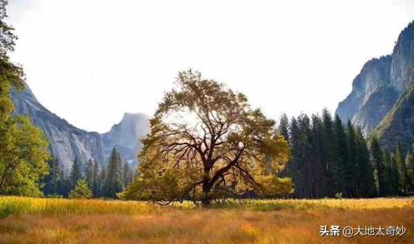 美國冷知識,帶你看看真實的美國 美國冷知識,帶你看看真實的美國