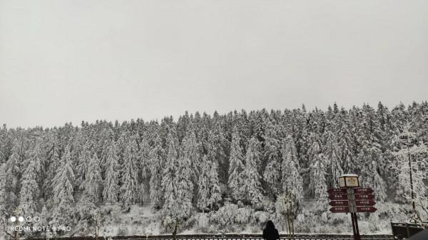 散文·治癒空虛的良藥，春節出遊集