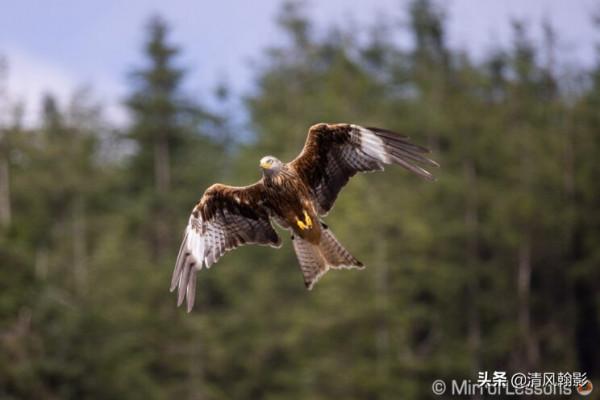 佳能微單800和600長焦鏡頭怎麼樣?不算權威的評測瞭解下 佳能微單800和600長焦鏡頭怎麼樣?不算權威的評測瞭解下