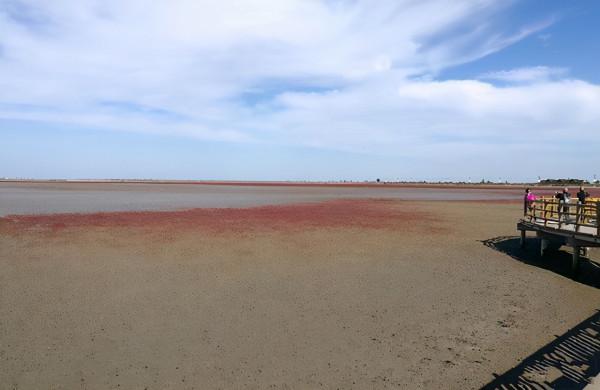 看完國內這6個知名景區的“素顏照”以後，你還想去旅行嗎？