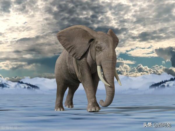 十二星座最呆萌的表現 十二星座最呆萌的表現