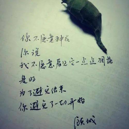 何華:讀顧城的詩 何華:讀顧城的詩