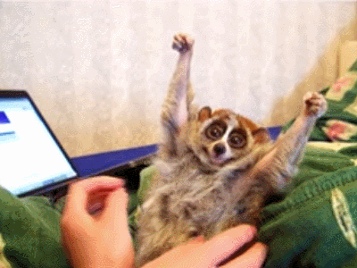 這猴子可愛的外表下，竟是一口毒牙，還會模仿眼鏡蛇...