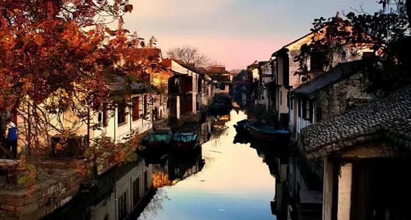 千萬別與秋天的姑蘇比美!楓葉漫山,銀杏紛飛,一步一景美成了詩 千萬別與秋天的姑蘇比美!楓葉漫山,銀杏紛飛,一步一景美成了詩