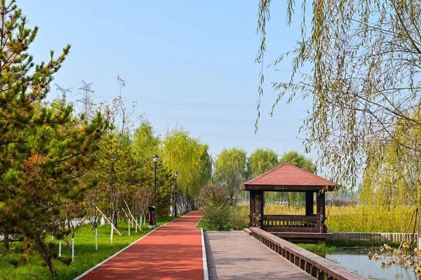 獨一無二！公園裡也能跑火車！京西這處免費的森林公園，值得玩