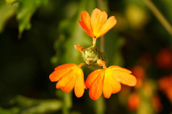 不要緊,一切都會好的!貼心窩的4句話,送給迷茫的你 不要緊,一切都會好的!貼心窩的4句話,送給迷茫的你