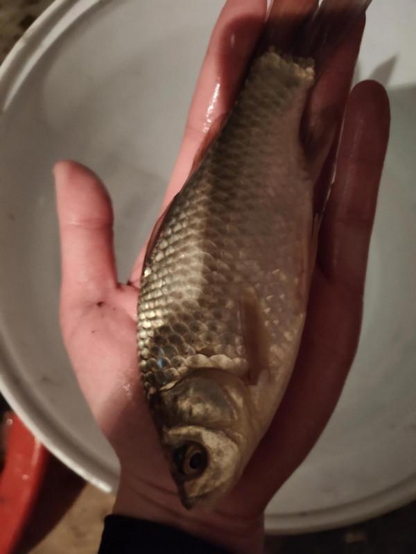 冬日釣魚快樂多