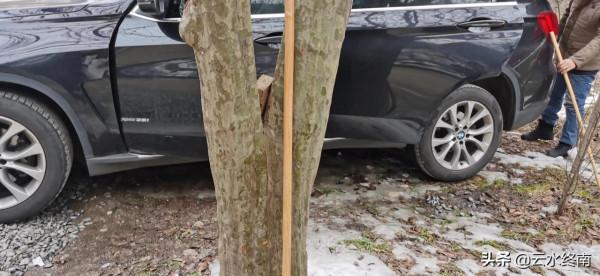 溜娃滑雪看冰瀑！西岔溝封了，去旁邊這個PIAPIA冰瀑，1小時路程