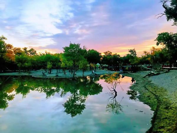 胡楊林，數不盡的人間美景