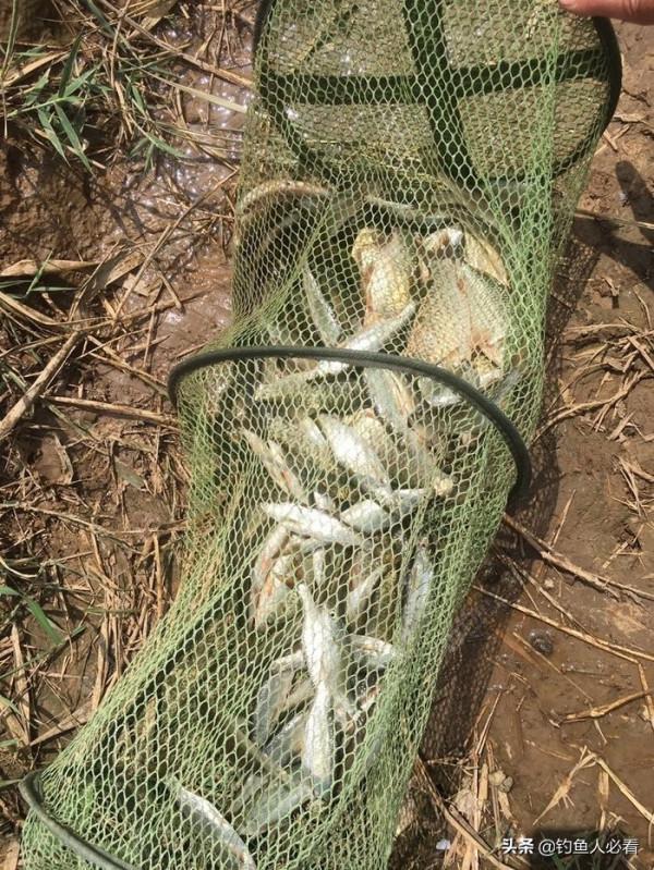 如果您在家不能去釣魚，可以學習綁制臺釣主線