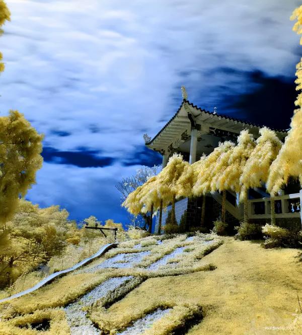 品,秋的味道 品,秋的味道