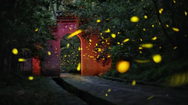 既有悠悠歷史，又有俗世煙火，來南京看看吧