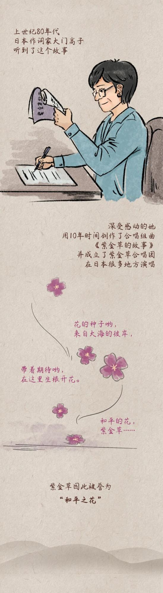 一朵紫金草的和平之旅 一朵紫金草的和平之旅