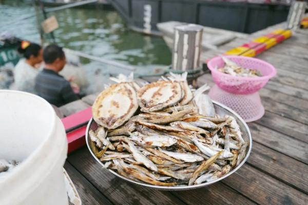 傍晚的贛州古浮橋，是我今年看過最美的畫面