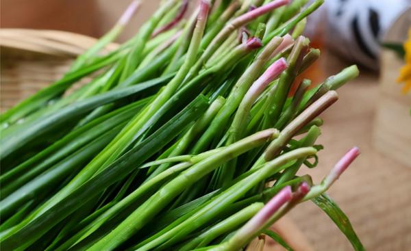 野韭菜:長得其貌不揚,卻是韭菜中的極品,若遇到別整株挖走 野韭菜:長得其貌不揚,卻是韭菜中的極品,若遇到別整株挖走