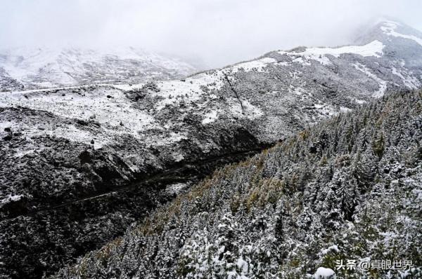 今年的川西雪,比往年來得更早一些。在追逐彩林時,再多行一程 今年的川西雪,比往年來得更早一些。在追逐彩林時,再多行一程