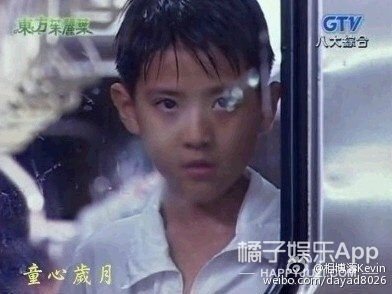 還記得《綠光森林》裡的小威廉嗎？都說不如小時候？