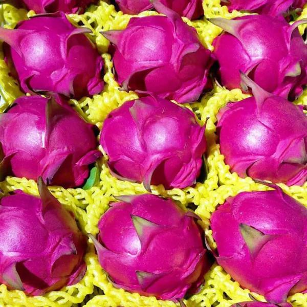 元旦將至,記得給家人吃6種“吉祥”水果,寓意平安順利吉祥如意 元旦將至,記得給家人吃6種“吉祥”水果,寓意平安順利吉祥如意