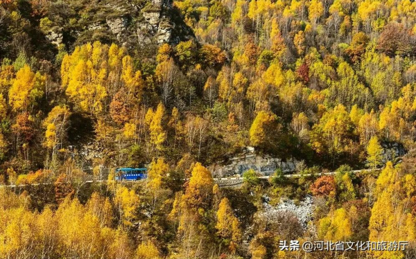 千萬別在秋天來白石山！