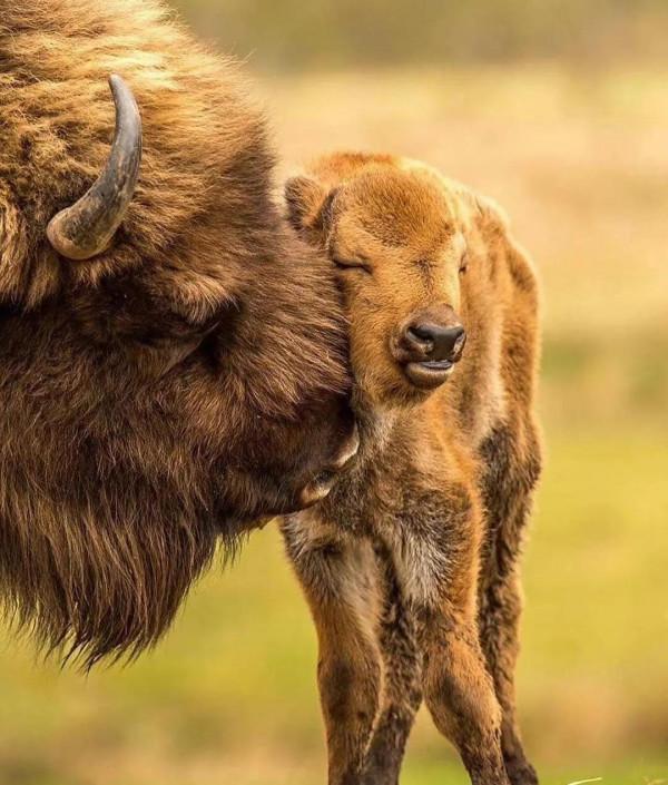 自殺的孩子都是白眼狼嗎?不是 自殺的孩子都是白眼狼嗎?不是