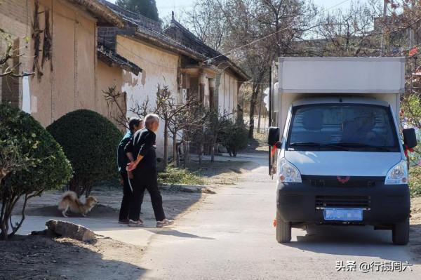 8旬農村大爺養只小狗3條腿，看家護院有本領，看長啥樣