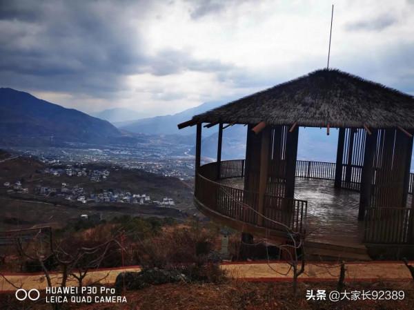 大美九襄 花勢待發