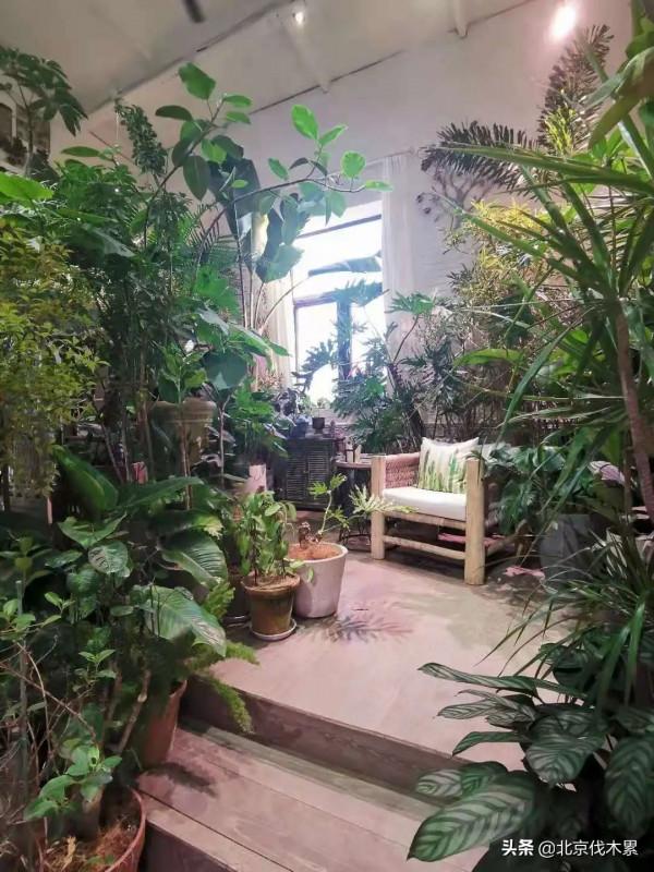 轉角遇見秘密花園,是冬日最幸運的事情之一 轉角遇見秘密花園,是冬日最幸運的事情之一