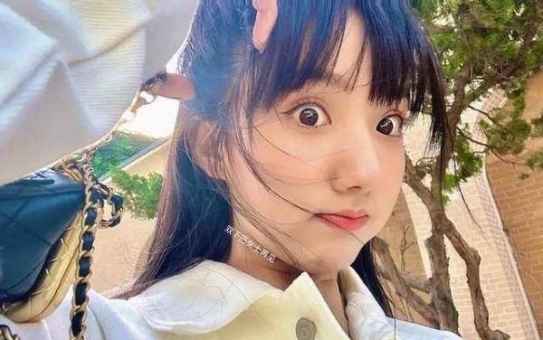 內娛“假鼻子”大PK，誰的假到逆天，誰的越整越殘？