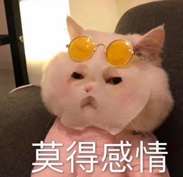 王力宏，你確實有點瘋狂