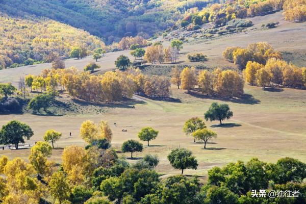 中秋佳節去哪裡,賞秋勝地,濃墨重彩的烏蘭布統秋景 中秋佳節去哪裡,賞秋勝地,濃墨重彩的烏蘭布統秋景