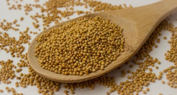 一味名方:三子養親湯,溫肺化痰,流傳百年,專門搜刮體內老寒痰 一味名方:三子養親湯,溫肺化痰,流傳百年,專門搜刮體內老寒痰