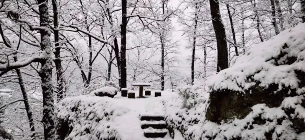 留壩：雪花紛飛迎新春 銀裝素裹靚山城