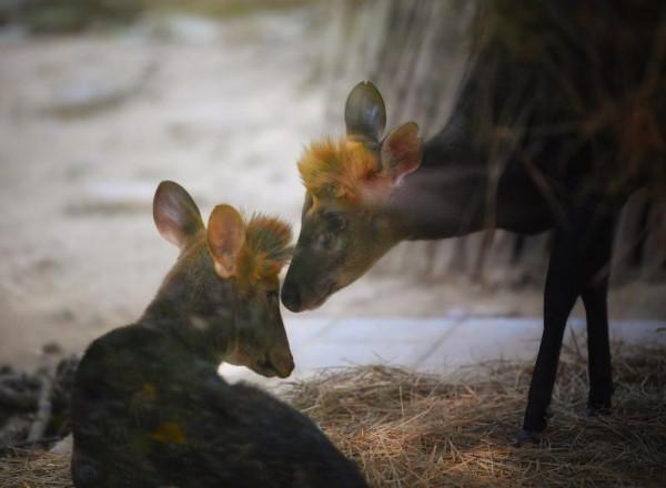 冬天給你的一封情書:秋天的味,科普的玄,公園的幻,它們的萌,都是你的美 冬天給你的一封情書:秋天的味,科普的玄,公園的幻,它們的萌,都是你的美