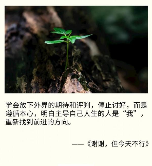 沈從文：一個人見識越高，心越謙卑