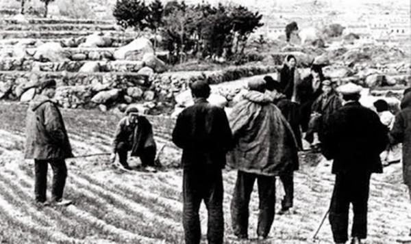 改革闖將萬里：鄧小平的得力干將