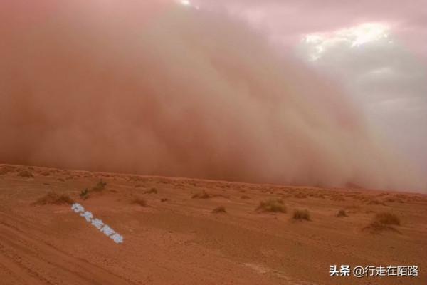 沙漠牧民的無奈:有家不住非要不斷遷徙,不認國籍不守法律 沙漠牧民的無奈:有家不住非要不斷遷徙,不認國籍不守法律