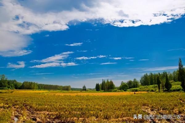 農民朋友注意:土地有償退出進入倒計時,退還是留?早看早知道 農民朋友注意:土地有償退出進入倒計時,退還是留?早看早知道