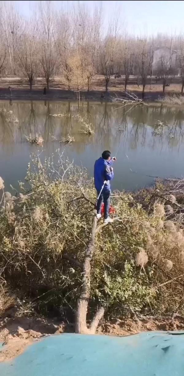 賭一包餌料，他會不會掉下去